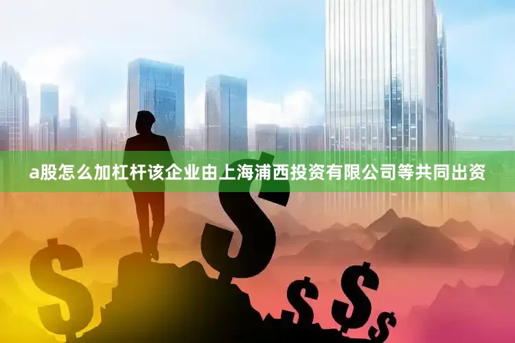 a股怎么加杠杆该企业由上海浦西投资有限公司等共同出资