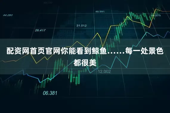 配资网首页官网你能看到鲸鱼……每一处景色都很美